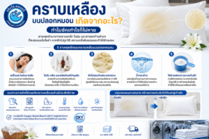 คราบเหลืองบนปลอกหมอน ซักผ้าโรงแรม ซักผ้าอุตสาหกรรม